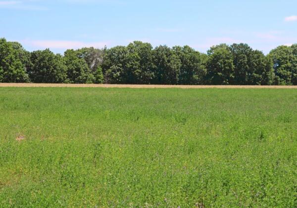 Agricultural Lime Victoria-wide